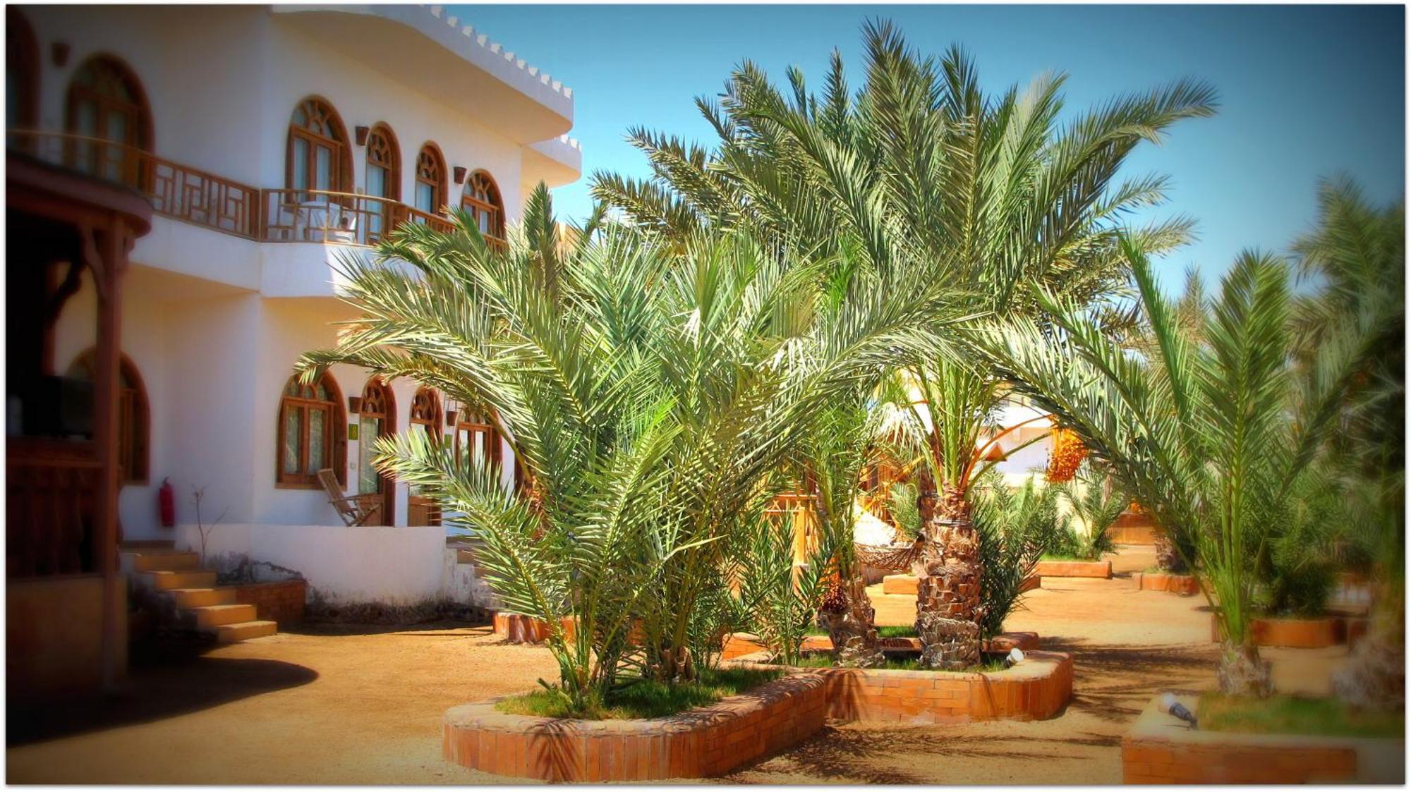 Shams Hotel & Dive Centre Дахаб Экстерьер фото